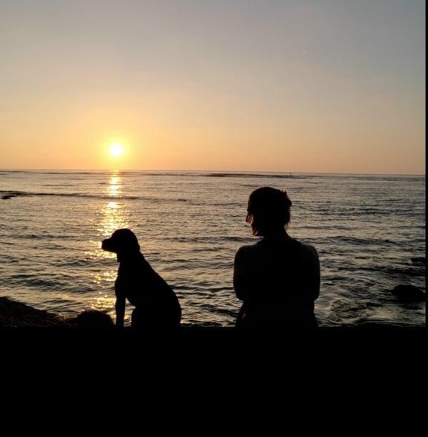 bri_bree_brie's Header