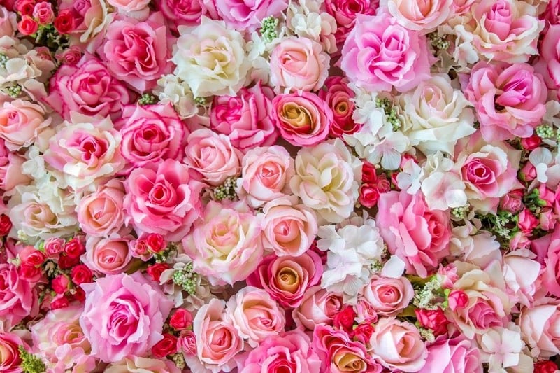 multifaceted-woman's Header