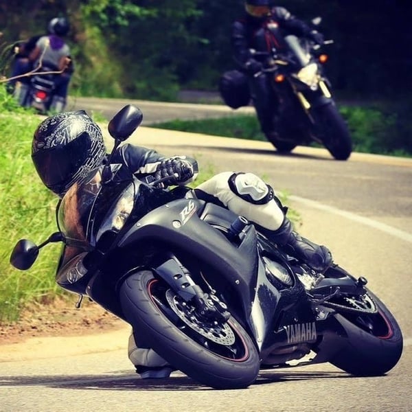 absurd_poodle128's Header