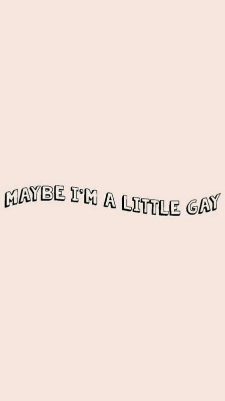 Pink background with the text 'MAYBE I'M A LITTLE GAY' in bold white letters.