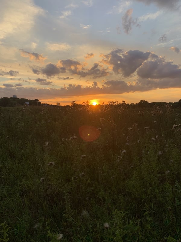 cutegiraffe's Header