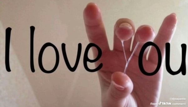 onlyseraphinexxx's Header