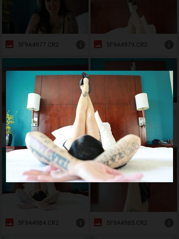 shereetaylor's Avatar