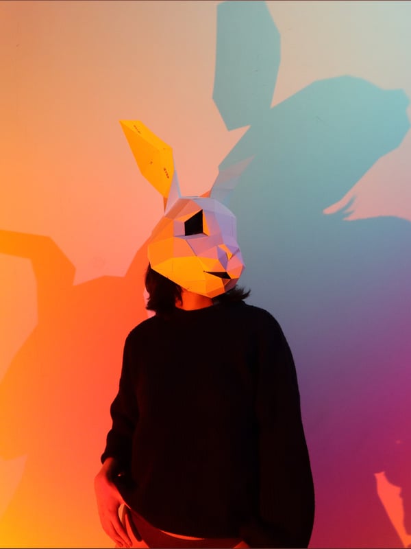 A person standing in a colorful spotlight wearing a bunny mask and dark clothing, with artistic shadows.