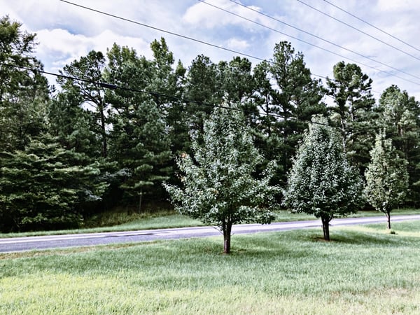 secretflame420's Header