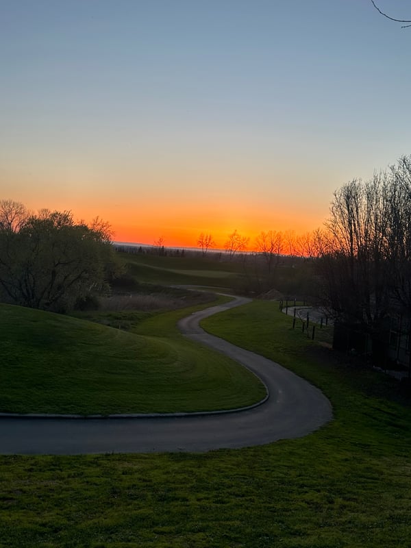 Scenic sunset view over a winding road through green hills and trees.