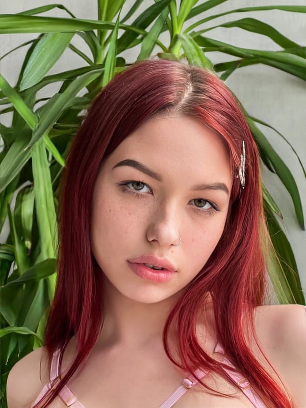 madness.mdln's Avatar