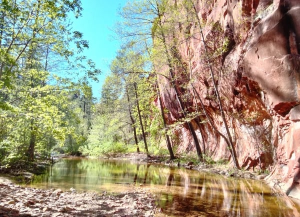 Scenic outdoor landscape featuring a river surrounded by trees and red rock cliffs under a clear blue sky.