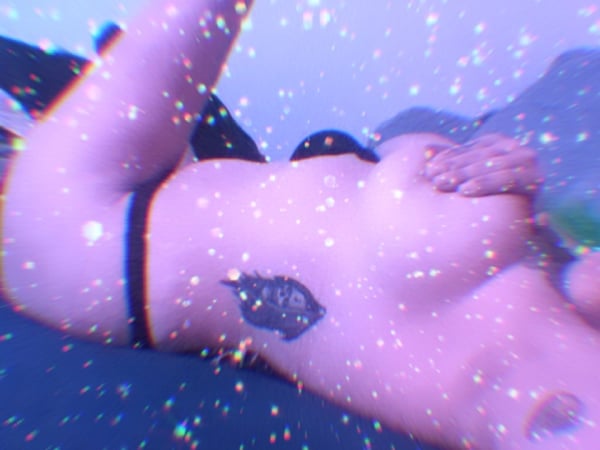 whiskertits's Header