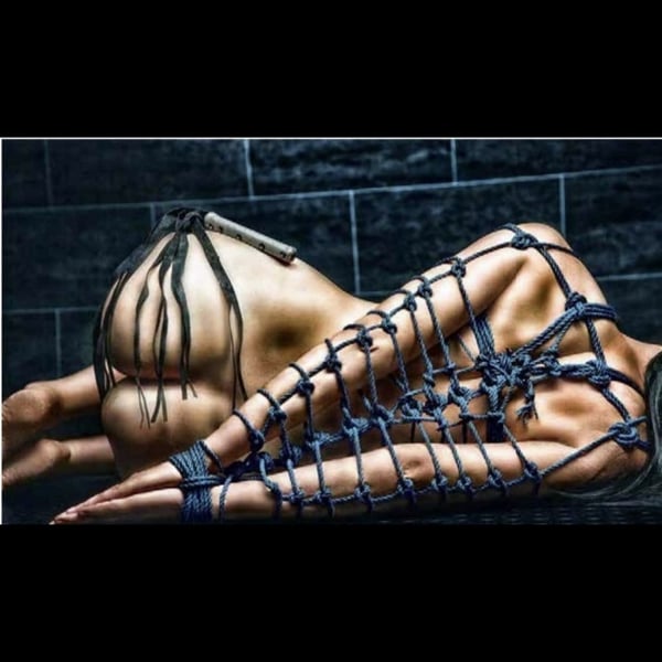 novadabrat44's Header