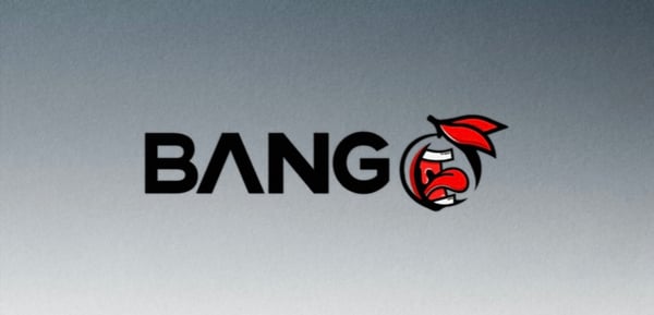 Stylized graphic logo featuring the word 'BANGANG' with red flame accents on a dark gradient background.