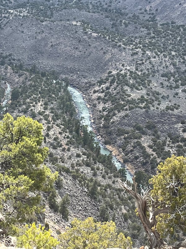 texastornado11's Header