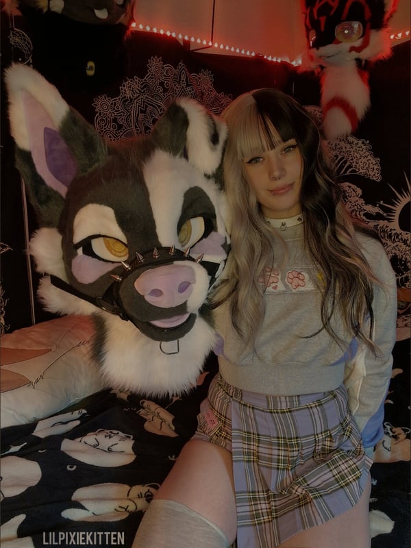 little_pixie_kitten's Avatar