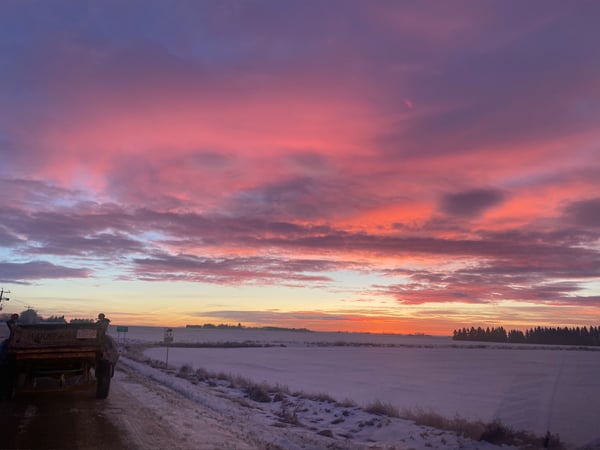 chanellewilde's Header