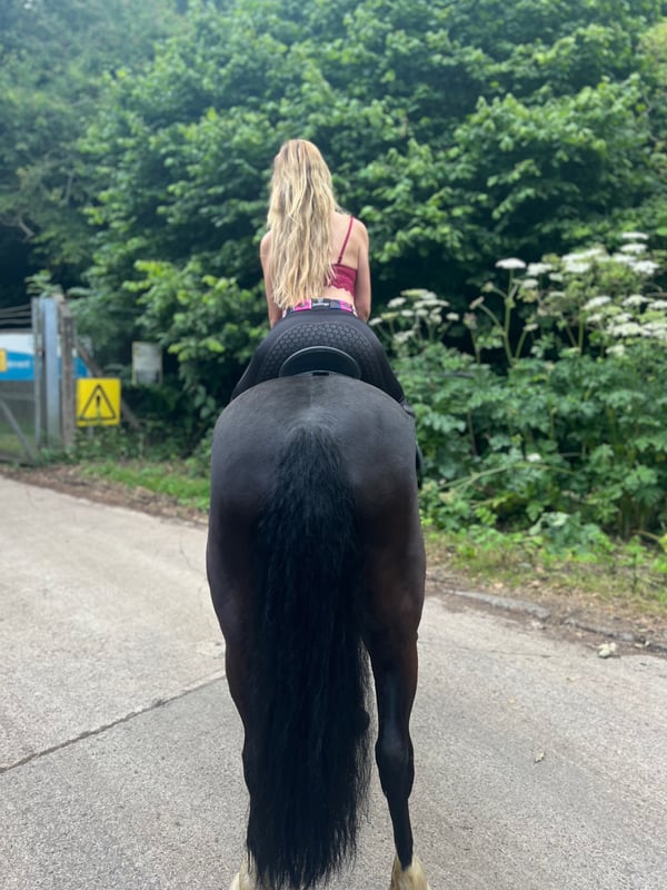 phoebswalker's Header