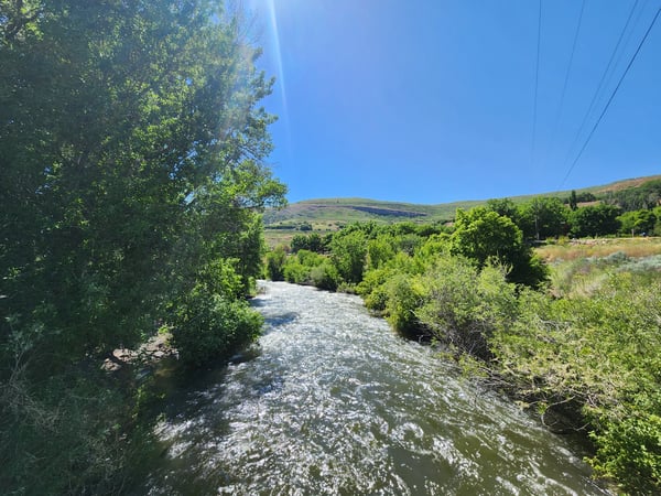 megan_pulley's Header