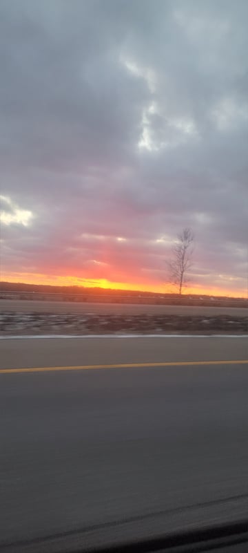 sunshynedaysi's Header