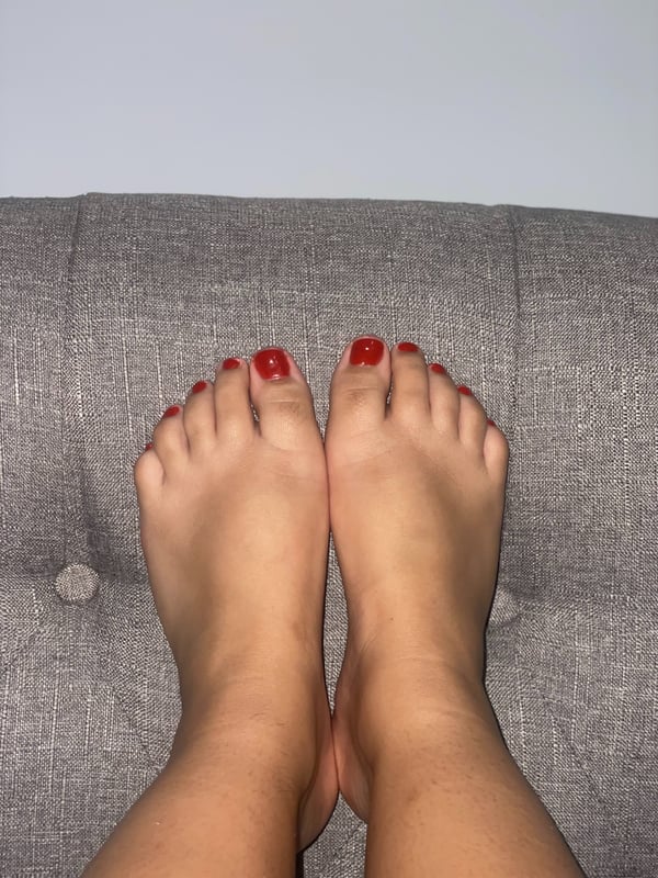 bichotasexyx's Header