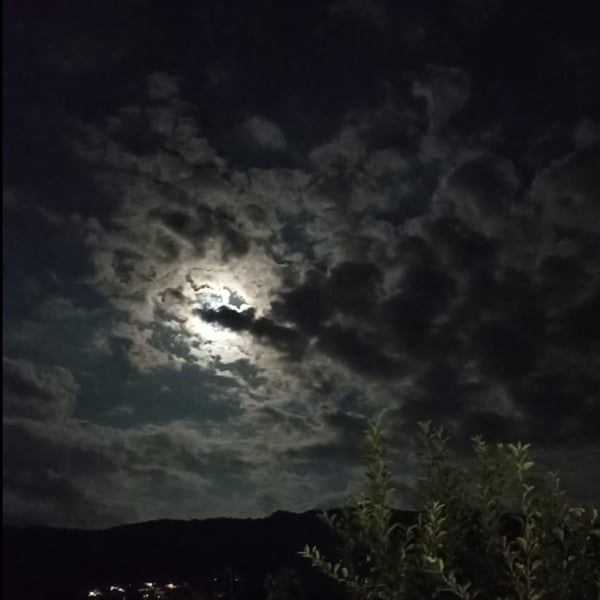 missbrillantina's Header