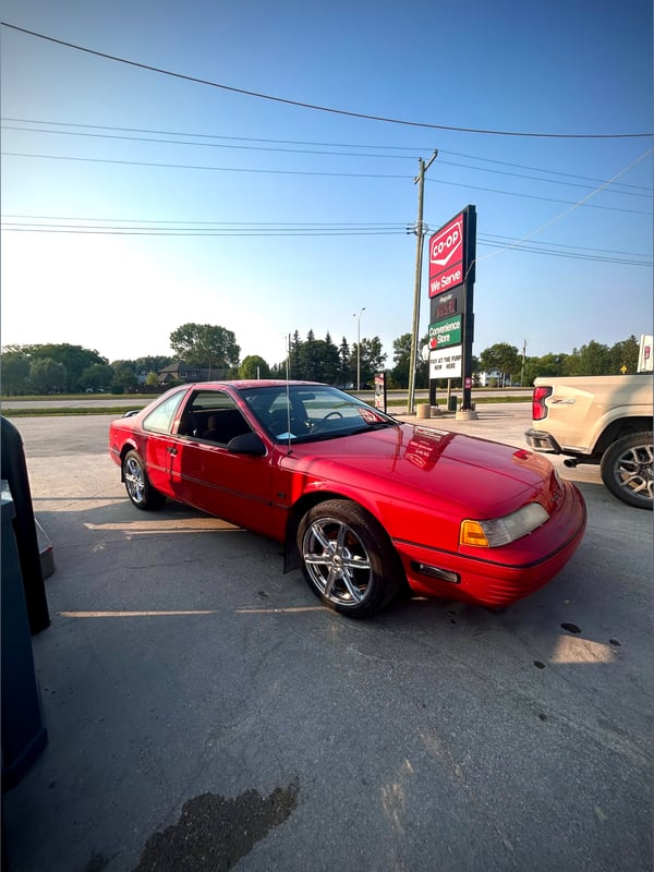 videlkitten's Header