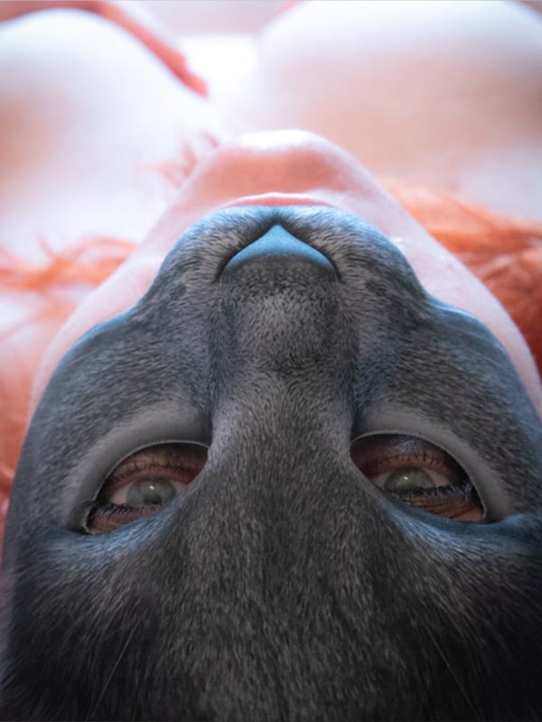 happynortherncouple's Avatar