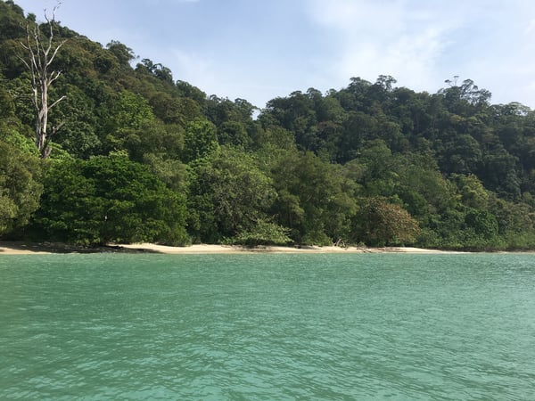 Scenic view of a lush green forested hillside meeting a sandy beach with turquoise water in the foreground.