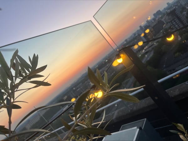 Scenic sunset view from a rooftop with city skyline, lights, and plants in the foreground.