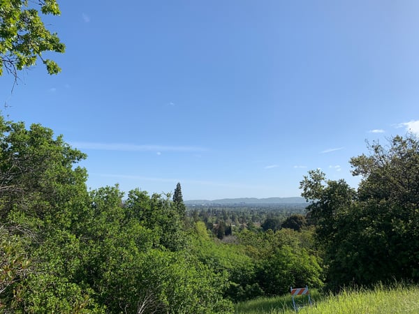 habaneroprincess's Header