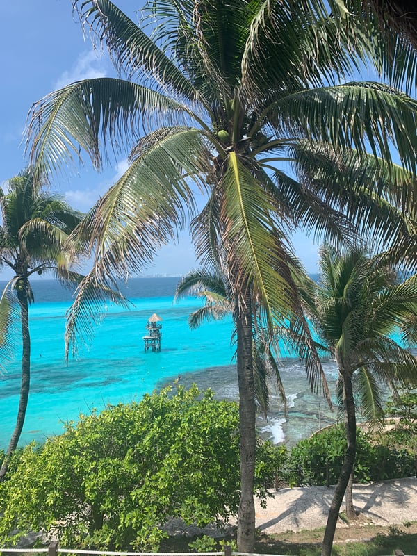 bluediamondgirl97's Header