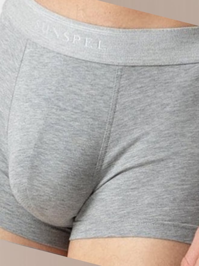 Close-up of a person wearing gray briefs, highlighting the front lower body area.