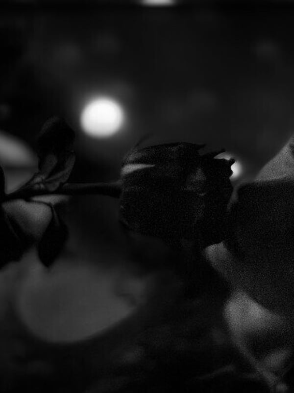 witchhazel88's Avatar