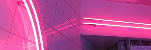 lilmissvixennnn's Header