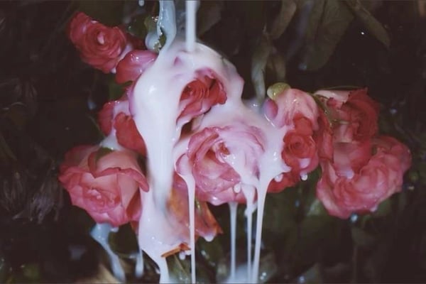Close-up of pink roses with white liquid dripping over the petals and leaves in an artistic floral arrangement.