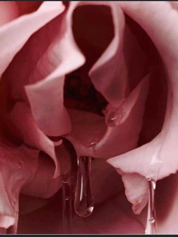 savagerican7210's Avatar