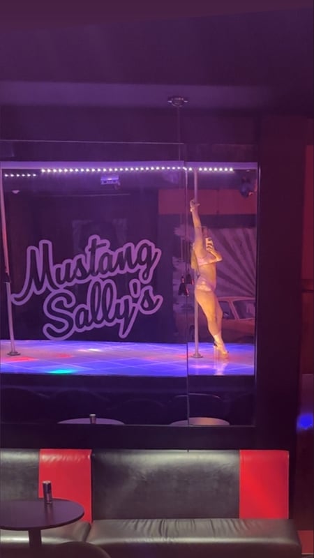 desheveleddemon's Header