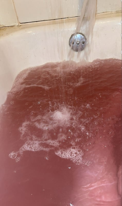 audreygirl04's Header