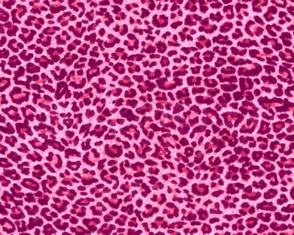 Pink leopard print pattern background.