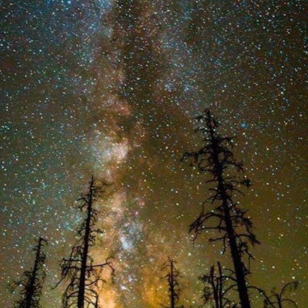 browneyedhoney01's Header