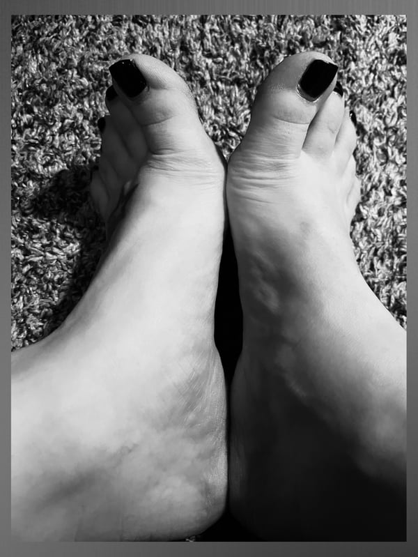 legomypreggo's Header