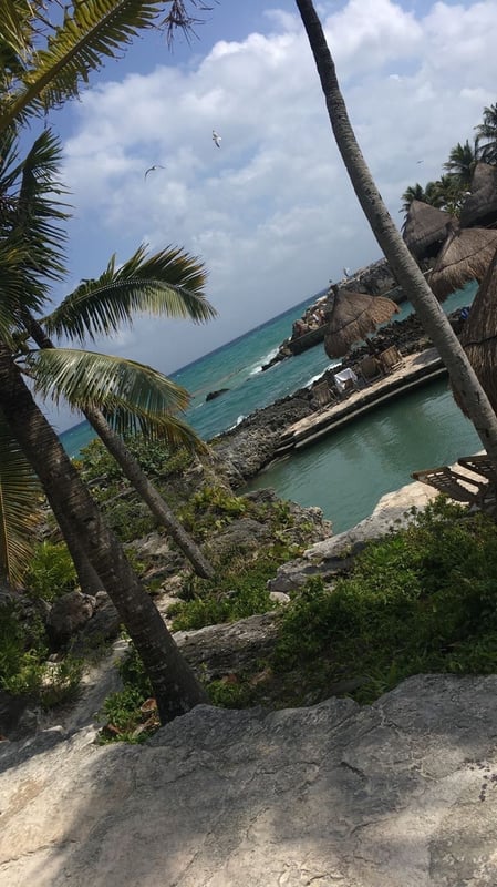Scenic tropical beach view with palm trees, turquoise water, rocks, and a pool under a partly cloudy sky.