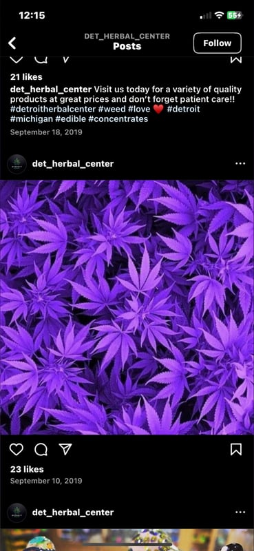 Close-up image of vibrant purple cannabis leaves arranged artistically.