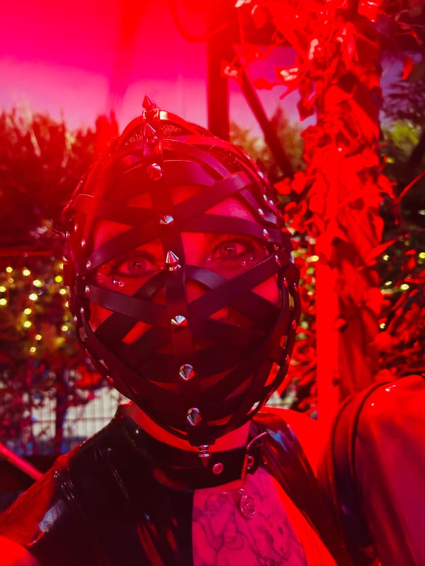 jessy-herrenreiterin's Avatar