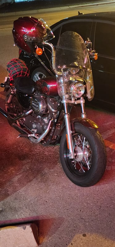 mtbikerchick420's Header