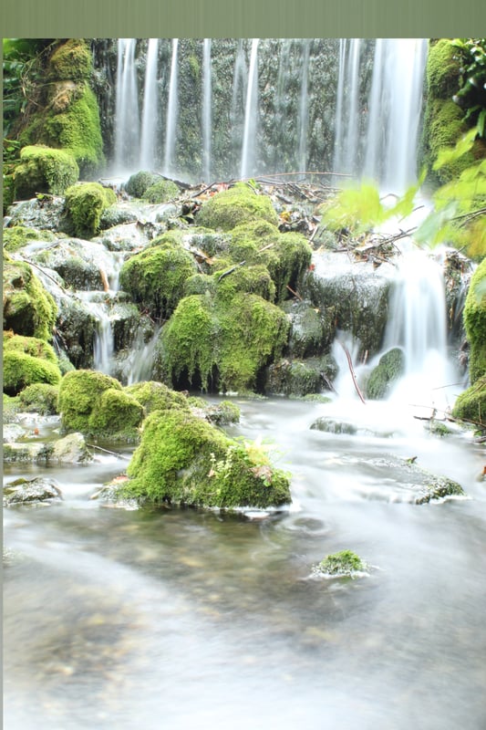 rosilee_w3t_pu55y's Header