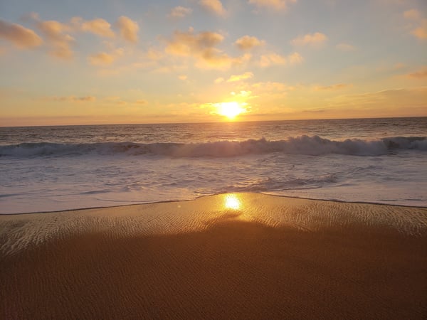 cassidyxklein's Header