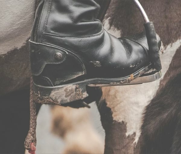 Close-up of black riding boots and stirrup positioned on a horse's side in a stable setting.