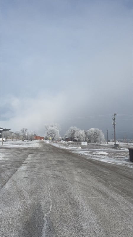 A snowy rural road lined with snow-covered trees and utility poles under a cloudy sky.
