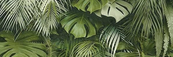 Vibrant tropical plant leaves in shades of green forming a lush botanical background.