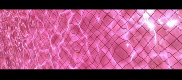 sweetestsarahxx's Header