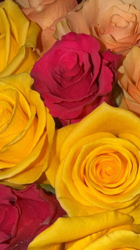 biblebeltbaddie's Header